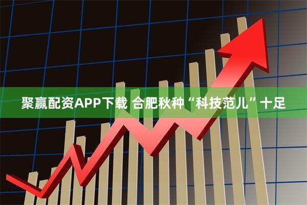 聚赢配资APP下载 合肥秋种“科技范儿”十足