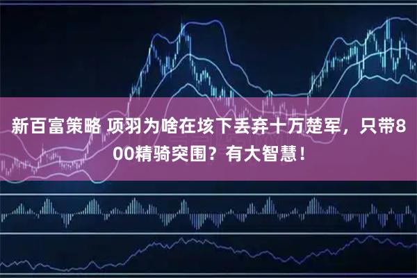 新百富策略 项羽为啥在垓下丢弃十万楚军，只带800精骑突围？有大智慧！