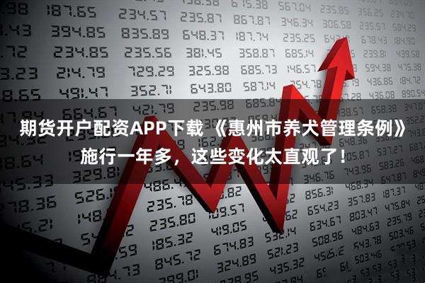 期货开户配资APP下载 《惠州市养犬管理条例》施行一年多，这些变化太直观了！