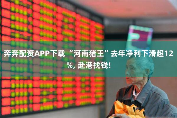 奔奔配资APP下载 “河南猪王”去年净利下滑超12%, 赴港找钱!